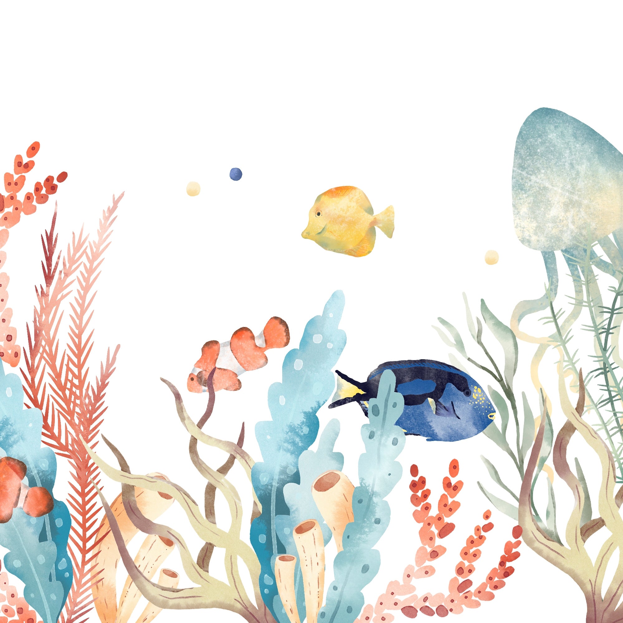 Ocean