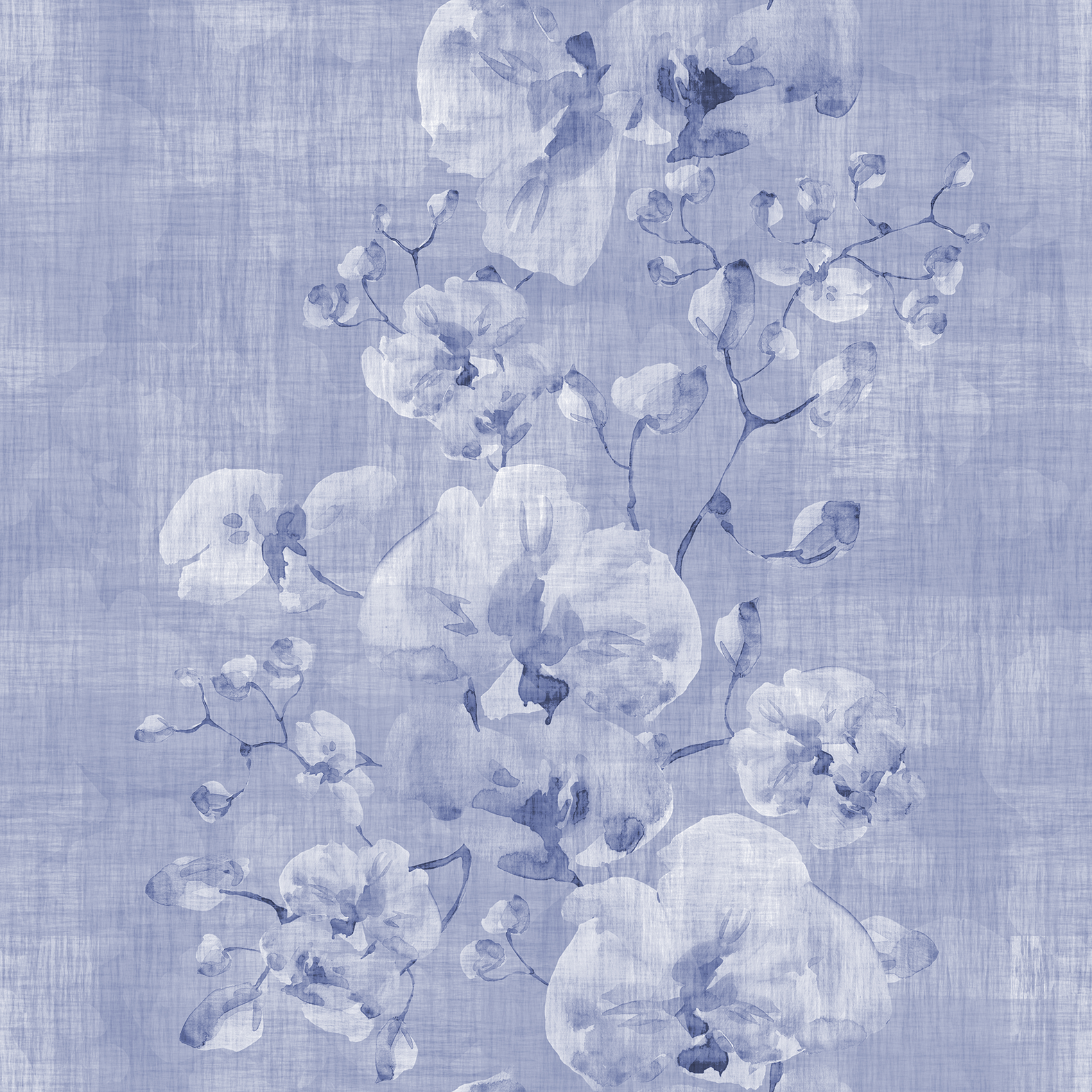 Vanda